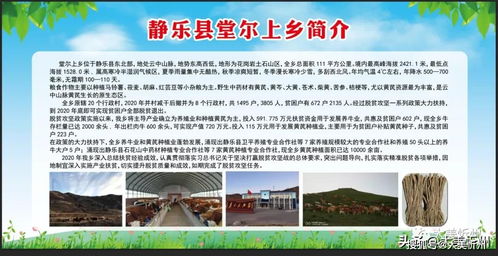 靜樂縣兩鄉特優農產品展銷暨體驗式拓展活動在古城南廣場隆重啟幕