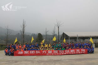 白城戶外拓展指南 優(yōu)選基地、專業(yè)機(jī)構(gòu)與創(chuàng)新策劃方案